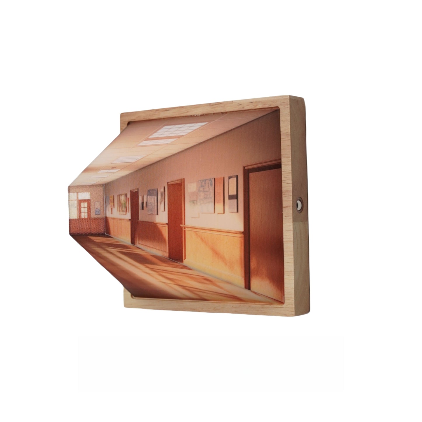 3D Visual Gallery Wall Lamp